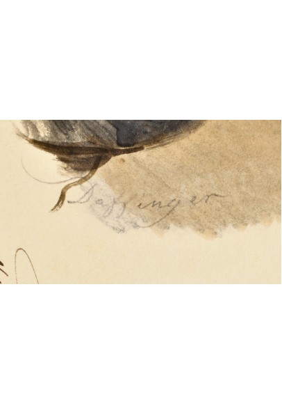 Даффингер Майкл Мориц (1790-1849). "Портрет князя Алексея Борисовича Куракина (1809-1872)".